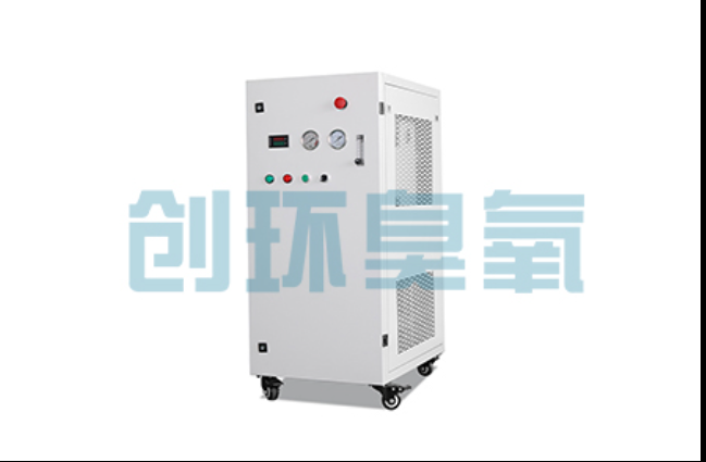邵阳工厂化养鲈必看：2026年臭氧发生器替代传统消毒的最新方案