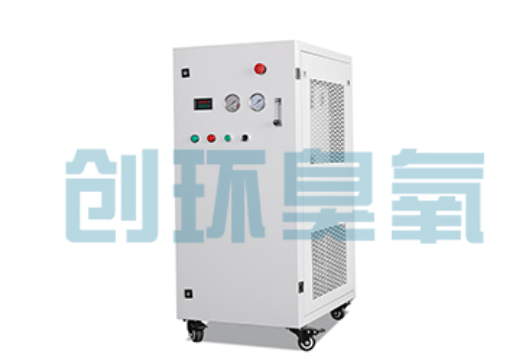 邵阳石斑鱼养殖水质调控完整指南：臭氧发生器配置与操作步骤