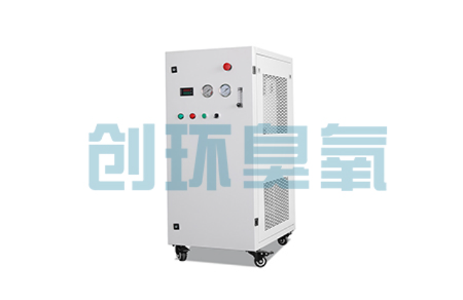 邵阳比传统换水更高效？臭氧发生器在石斑鱼养殖中的水质净化原理解析
